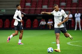 仅增强了自 仅增强了自